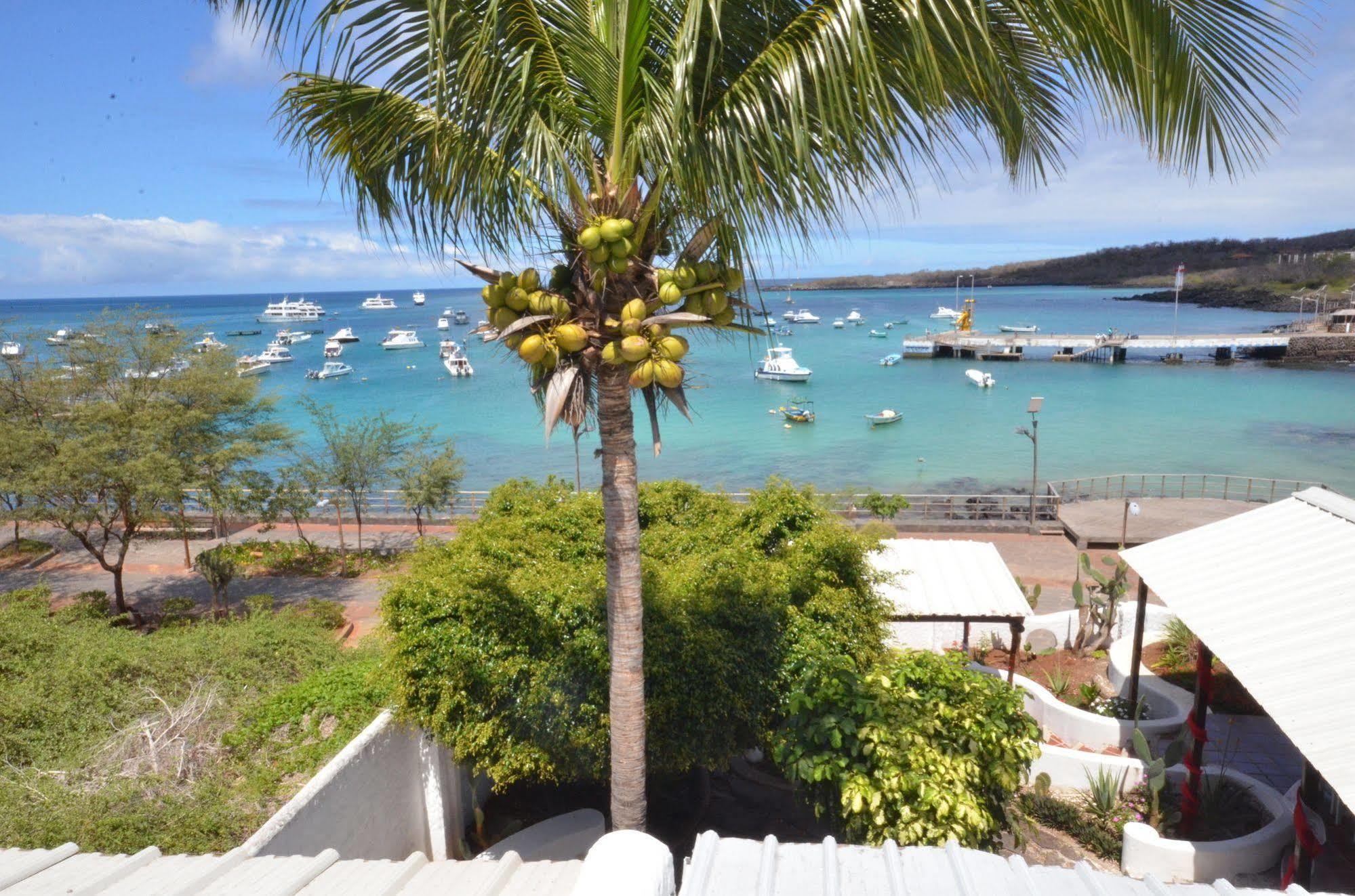 Casa Opuntia Bed & Breakfast Puerto Baquerizo Moreno Dış mekan fotoğraf